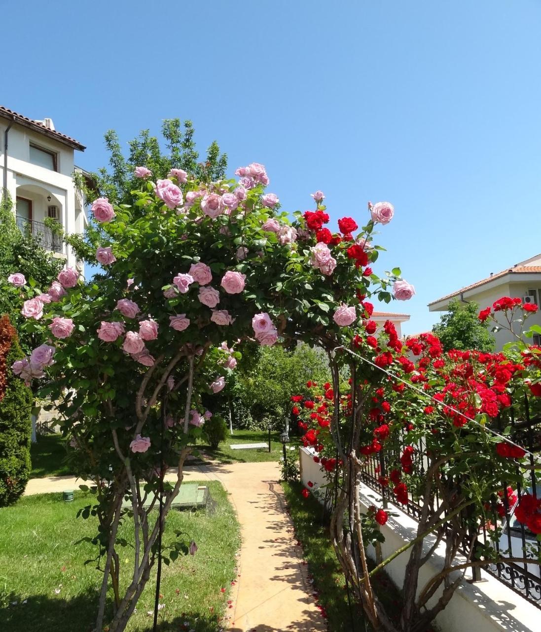 Triumph Holiday Village Sveti Vlas Exterior foto